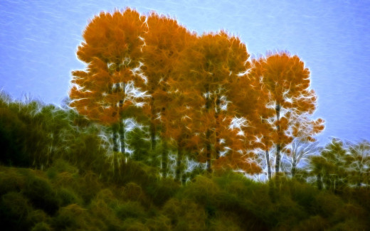 497268 (a): :1280x800